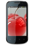 Best available price of Celkon A19 in Moldova