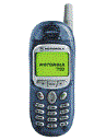 Best available price of Motorola T190 in Moldova