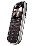 Best available price of Motorola WX288 in Moldova