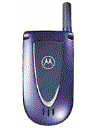Best available price of Motorola V66i in Moldova